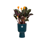 vibes fold coupe 14cm diepblauw